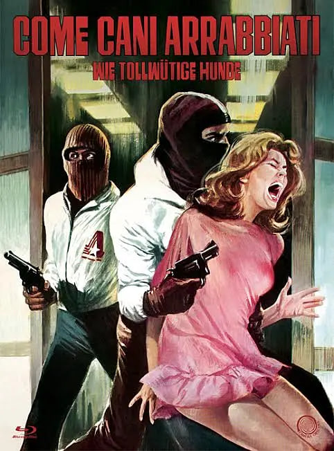 央视一套直播在线观看